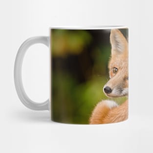 Red Fox Mug